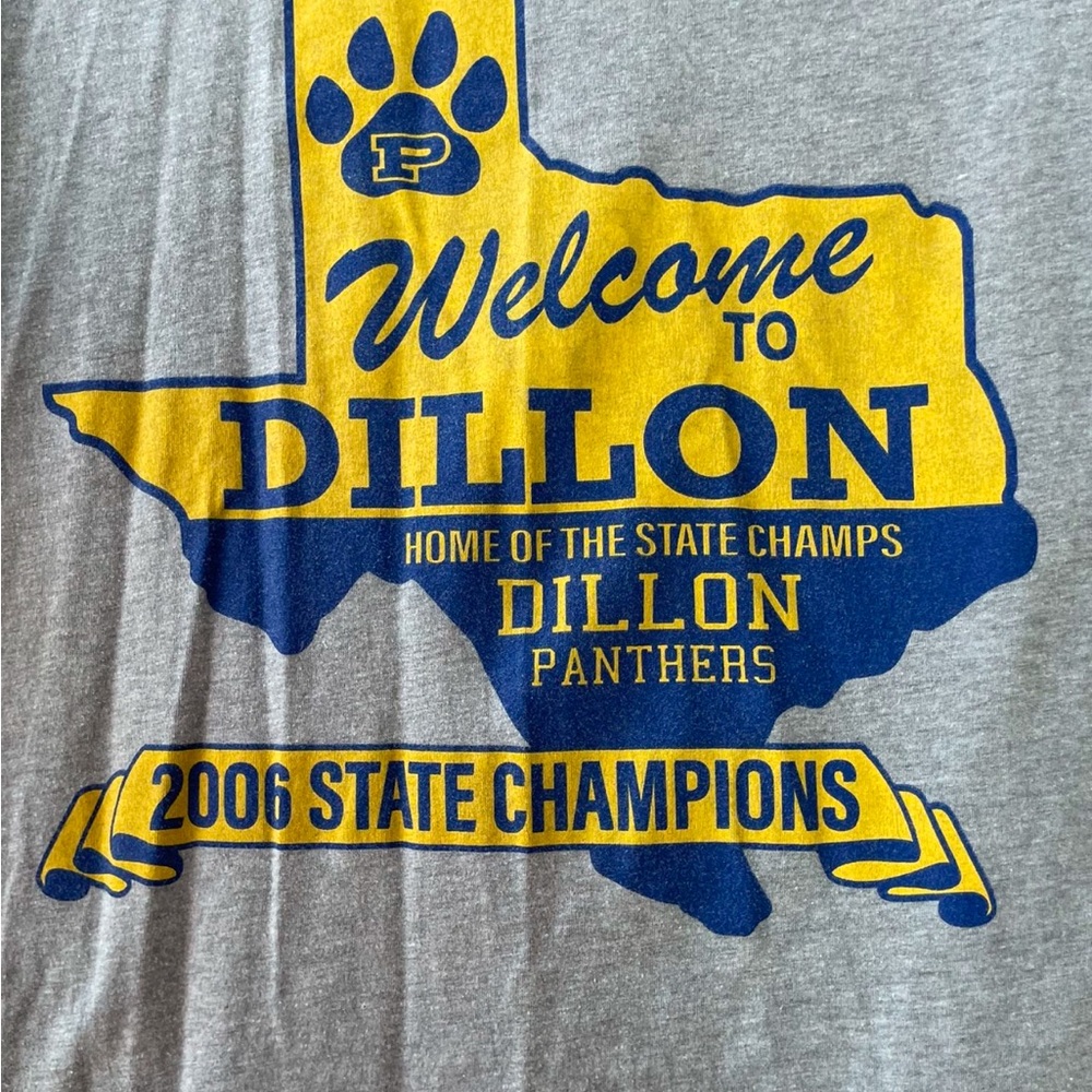 Gray Dillon Panthers Graphic T-Shirt - Picture 2 of 6